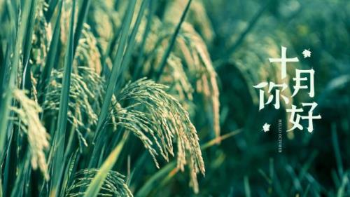 复杂的心情说说短语