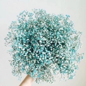 ​国庆节的说说带图片大全(忙碌的国庆节说说大全)