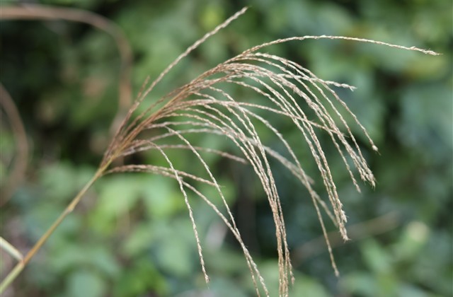 王者荣耀一听就很厉害的名字(精选348个)