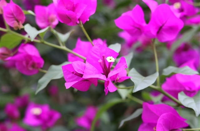 少见的英文网名