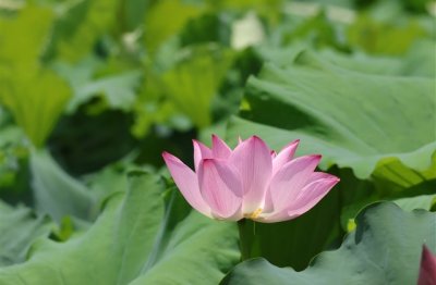 ​重复率低的网名男生