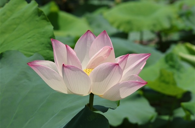 二字简约网名女生