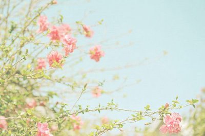 ​拟人句举列41句