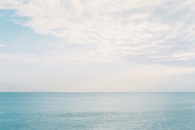 ​珍珠鸟的拟人句15句