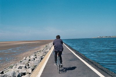 ​关于注意细节的谚语24句