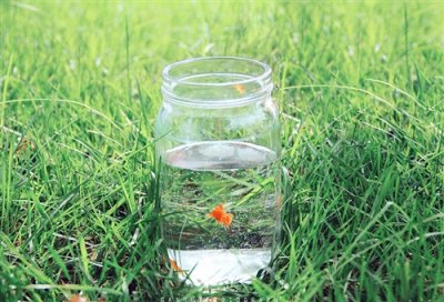 ​心碎到撕心裂肺的句子(精选159句)