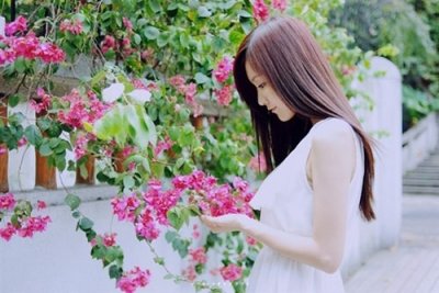 ​赞美承德的简单句子(热门100句)