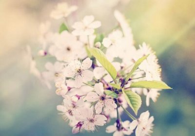 ​2024抖音火爆句子