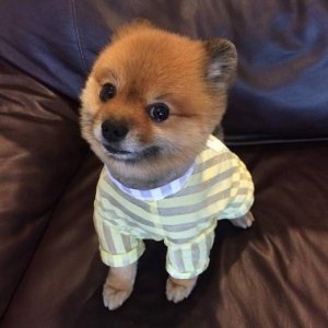 ​励志语录（2024正能量奋斗的句子）