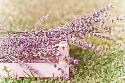 用没有没有也没有造句87句