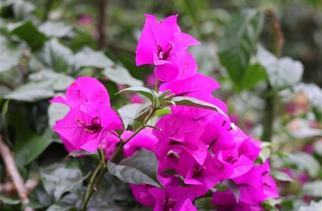 告诉自己要争气的句子 告诉自己要争气的句子