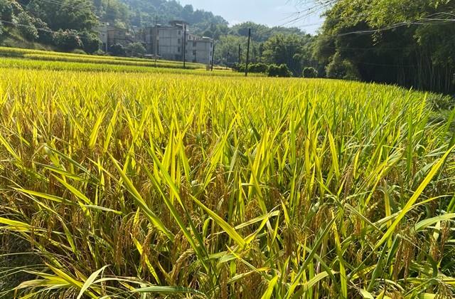 一辈子不换的网名男霸气(精选70个)