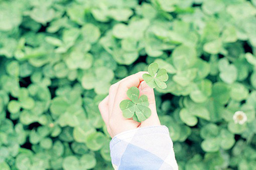 不要造句大全100句