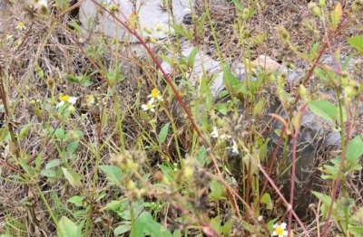 ​好看又低调的情侣名字