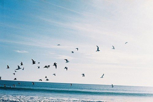 用要是那么造句大全60句