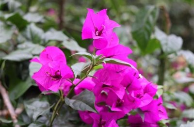 ​王者荣耀名字大全男生古风(精选155个)