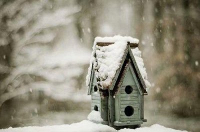 ​生活感悟经典句子