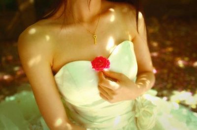 ​经典花朵优美句子85条