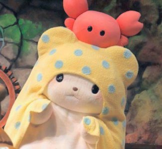 ​经典人生感悟的句子摘抄