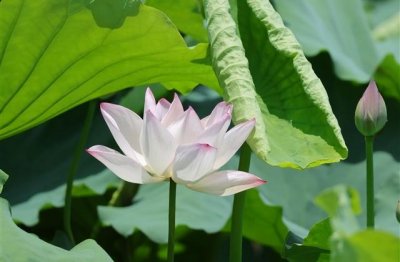 ​微信昵称大全网名(200个)