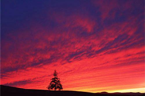 描写对朋友的思念句子