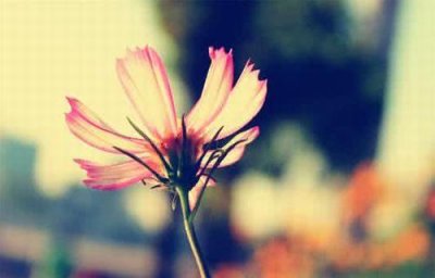 ​男生成熟稳重网名