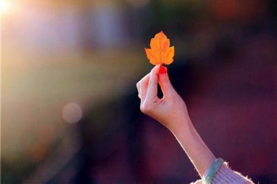 ​个性微信号id号大全842个