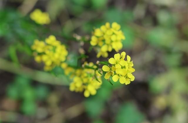 2025最火宝妈网名(优选496个) 2025最火宝妈网名(优选496个)