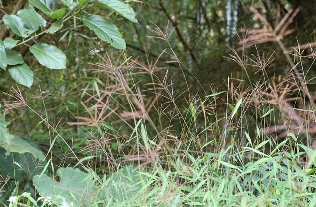 王者id温柔治愈(精选174个)