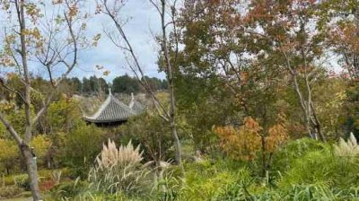 ​又萌又可爱的游戏名字