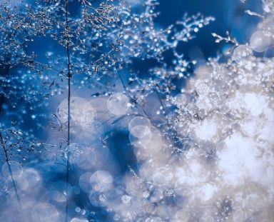 简短而又优美的句子