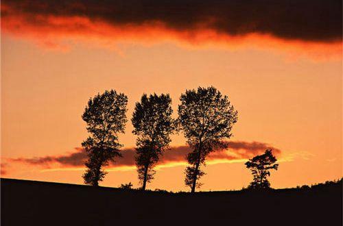 离别的人生感悟句子