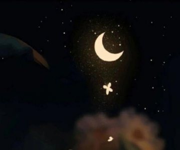 ​简洁的经典的唯美句子