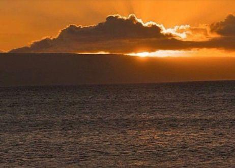 2025年经典受伤爱情句子汇编78条