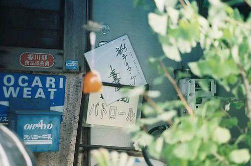 感恩节适合发朋友圈的句子