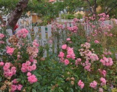 ​女人的心累伤感句子