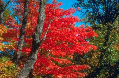 ​遇到你我很幸福的句子(52句)