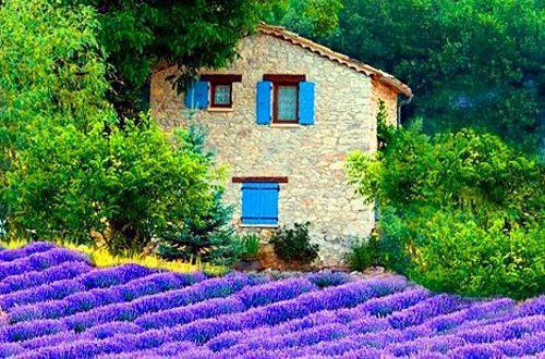 夫妻相处的精妙句子