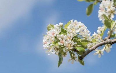 ​关于坚持的正能量励志句子摘抄