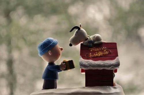 表达心痛的伤心句子