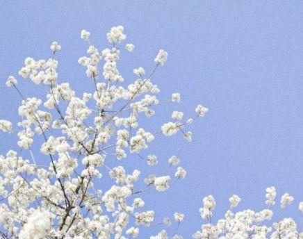 描写江南的优美句子