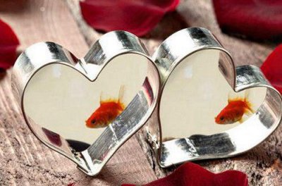 ​描述朋友友情的优美句子