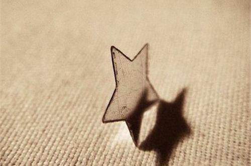 描写柳树的优美句子有哪些