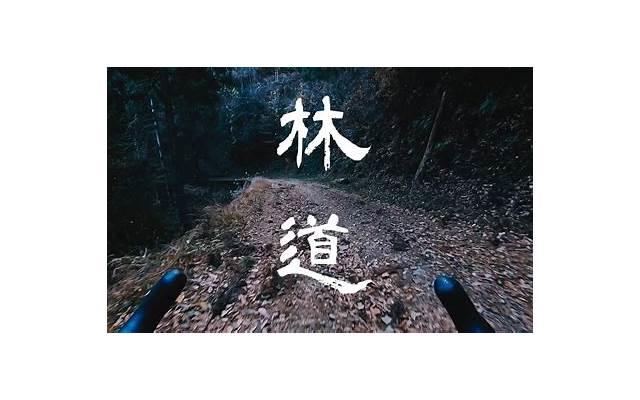 形容孩子笑容的唯美句子精选29句 形容孩子笑容的唯美句子精选29句