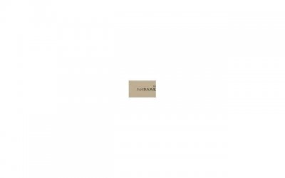 ​紫草玫瑰文案短句温柔合计56句