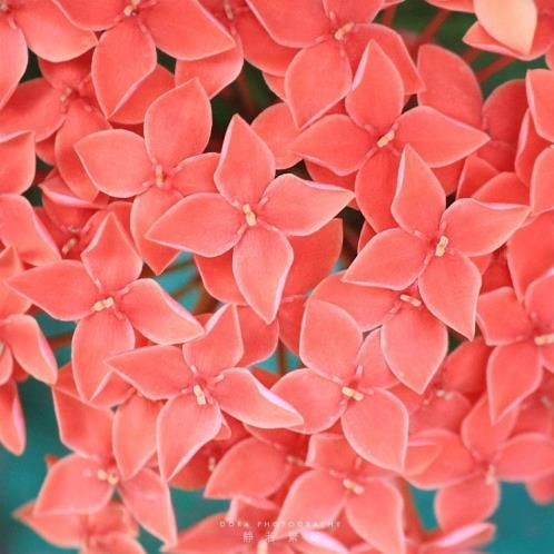 励志的句子说说心情经典语录