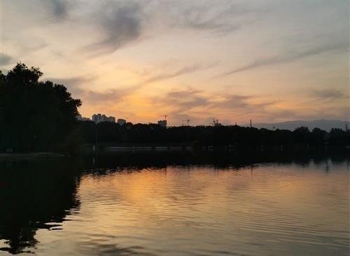 关于白天不懂夜的黑的伤感说说