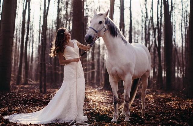 美词美句摘抄大全短句 美词美句摘抄大全短句