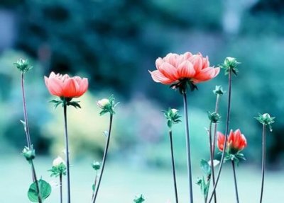 ​发朋友圈的疫情人生感言 疫情感悟说说(精选29句)