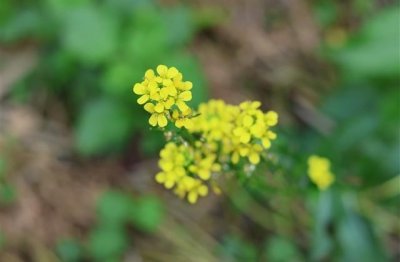 ​这个世界上没有人懂我的说说